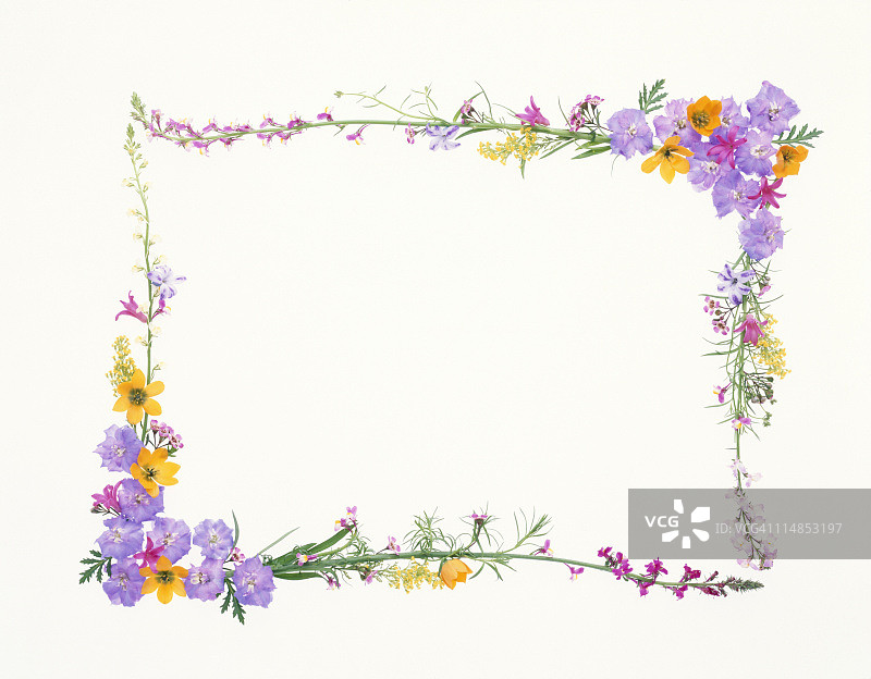 花框架图片素材