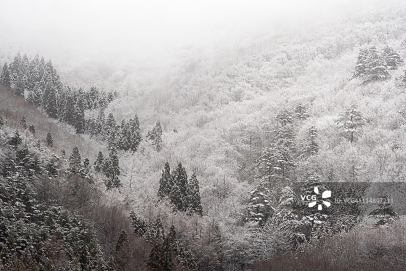 八幡平的降雪图片素材