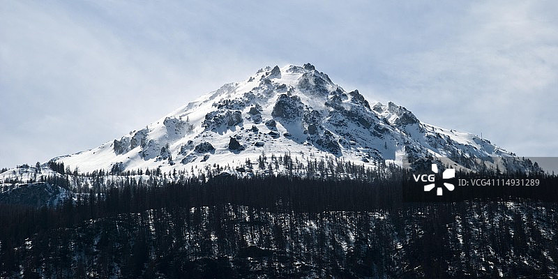 雪山和森林图片素材