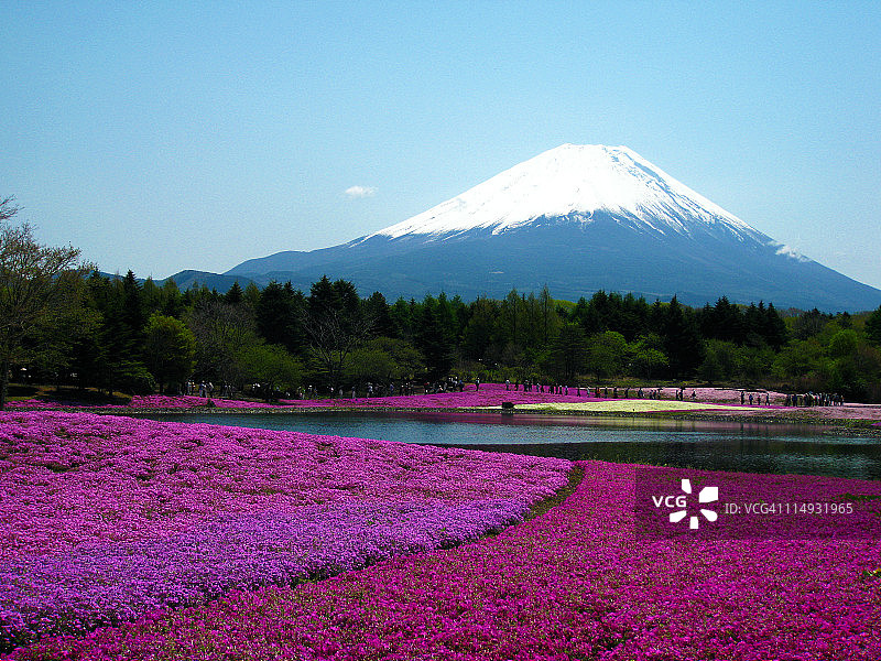福禄考和富士山图片素材