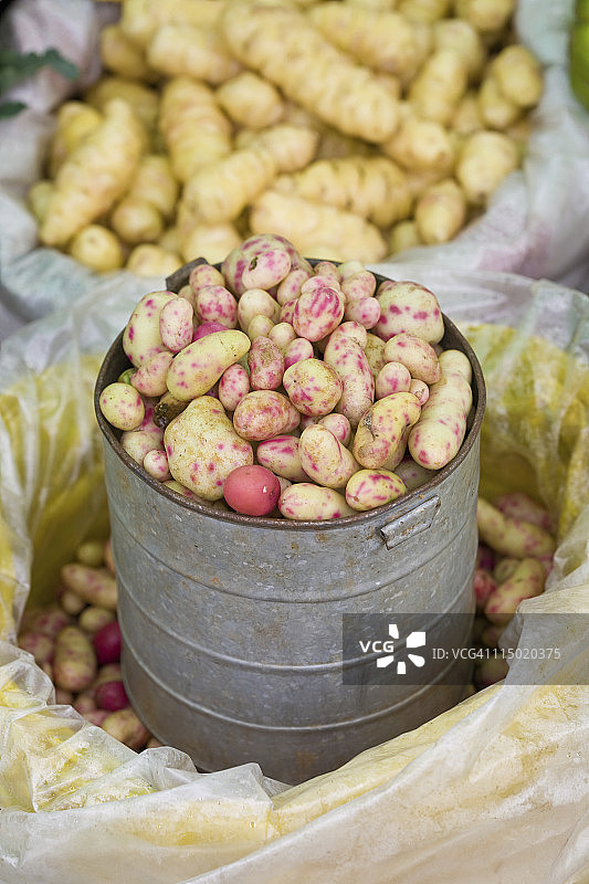 特色土豆图片素材