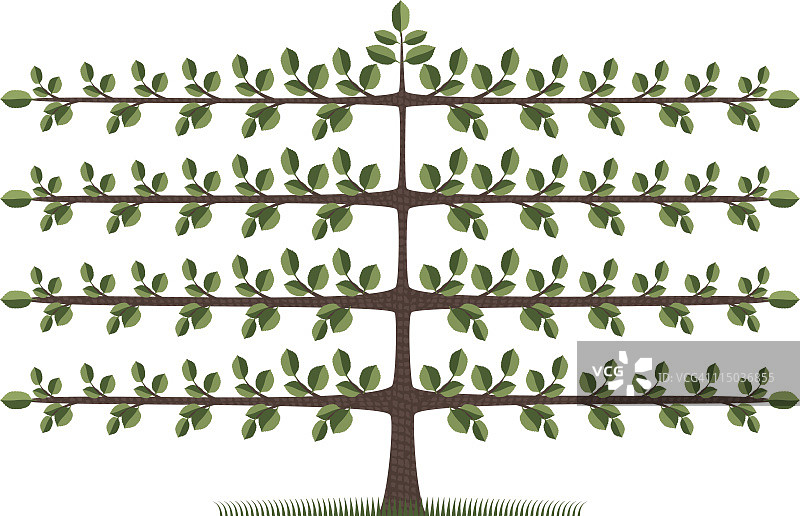 棚架树图片素材