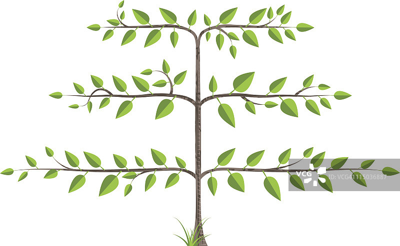 棚架树图片素材