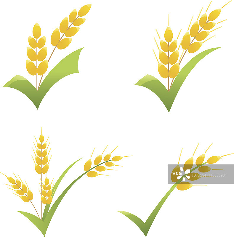 绿色格子剪贴画图标上的全麦谷物符号图片素材