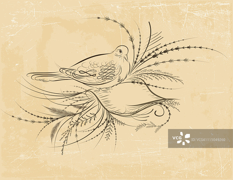 维多利亚风格书法鸽子图片素材