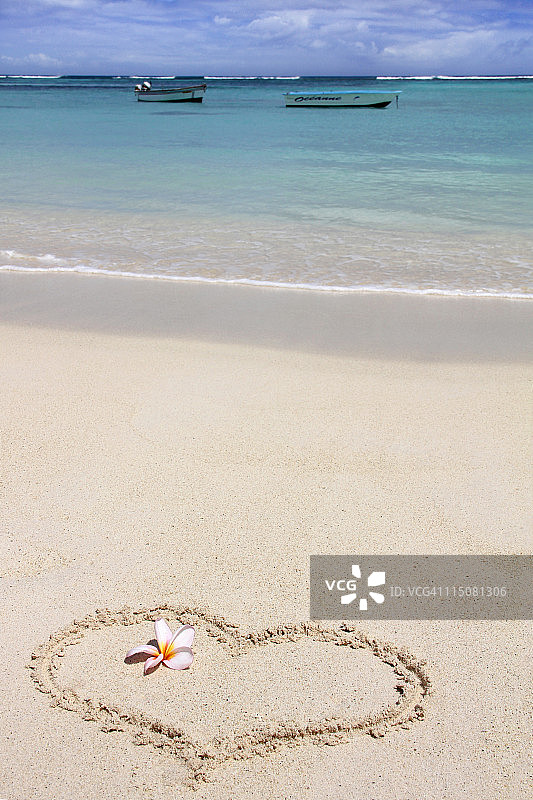 心形与花朵图片素材