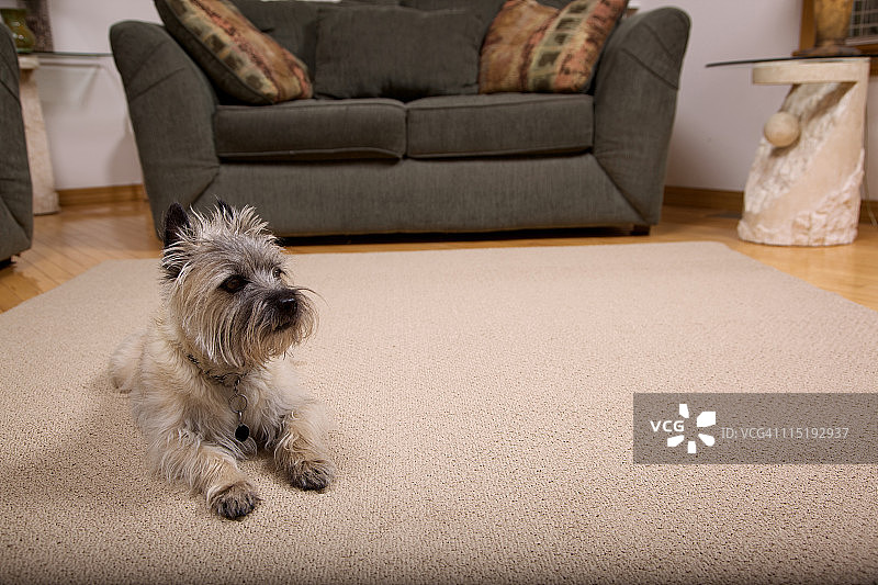 客厅人像图片素材