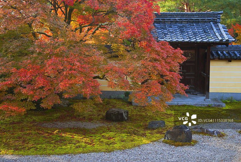 京都东寺院的禅宗花园图片素材