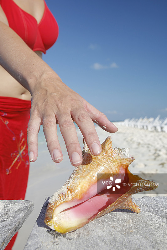 热带海滩图片素材