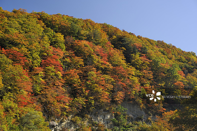 秋色中的三途川峡谷图片素材