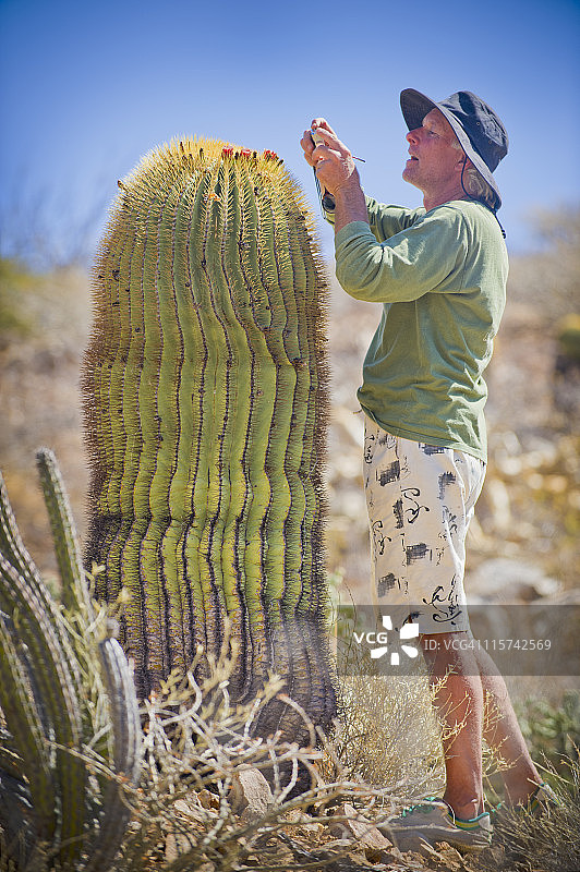 男人拍摄巨型桶形仙人掌图片素材