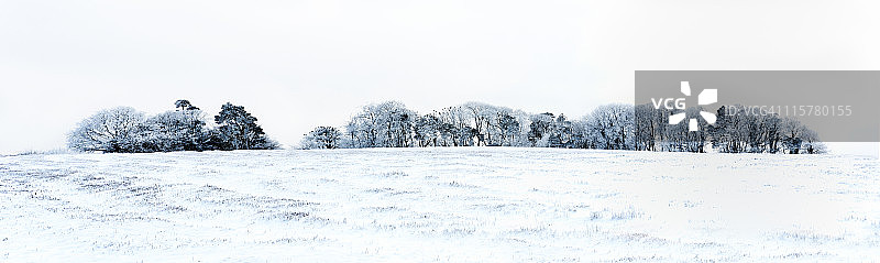 雪地里的冬季树木线条图片素材