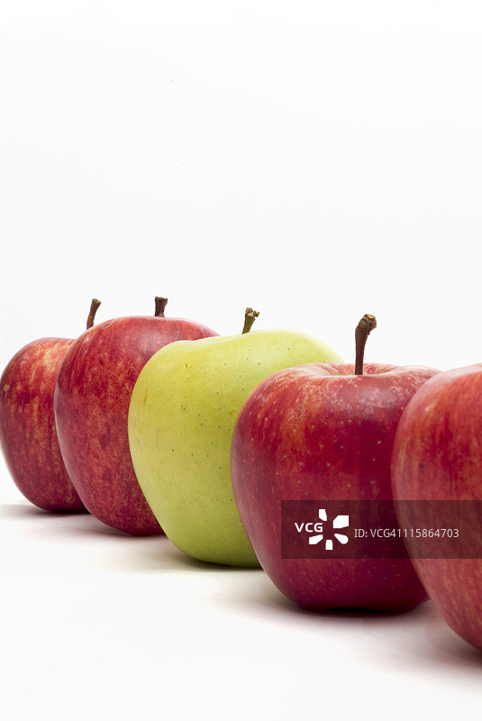 万绿丛中一点红图片素材