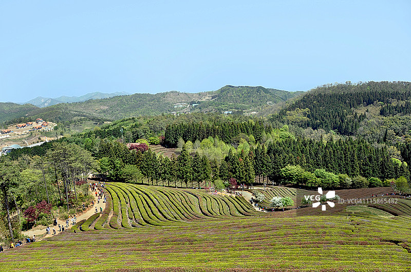 宝城景观图片素材