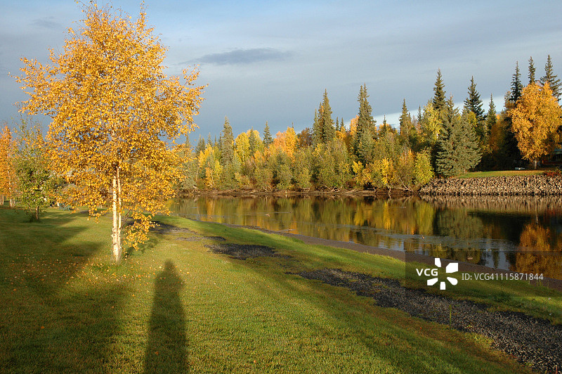阿拉斯加费尔班克斯切纳河畔美丽的秋日早晨图片素材