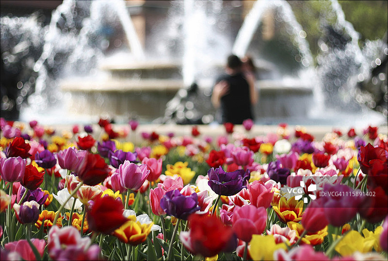 浪漫之都图片素材