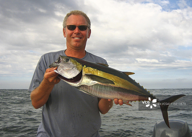 黄鳍金枪鱼图片素材