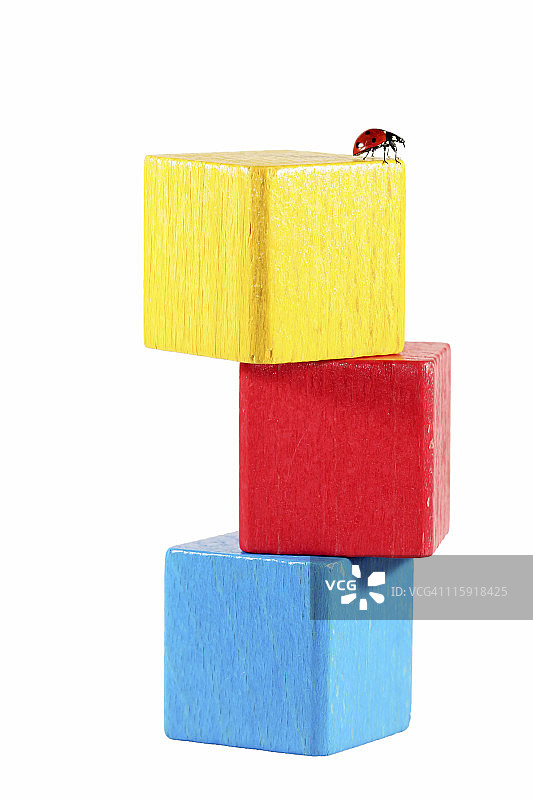 立方体上的瓢虫图片素材