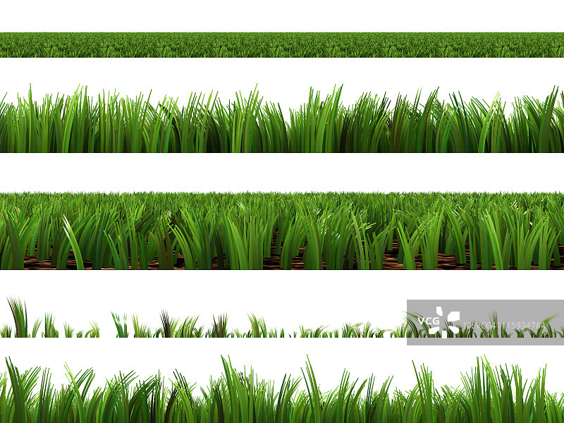 各种类型的绿草及其高度图片素材