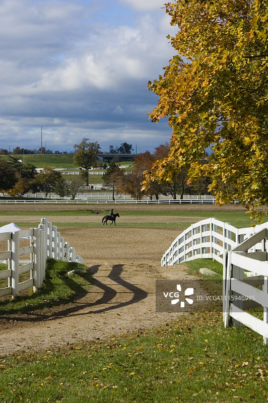 肯塔基州的早晨图片素材