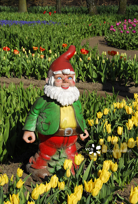 快乐的花园侏儒图片素材