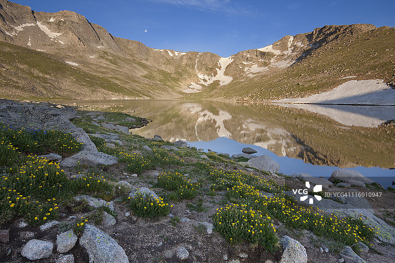 科罗拉多州埃文斯山鲜花图片素材