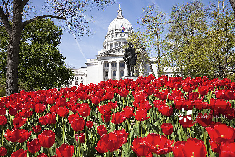 美国威斯康星州麦迪逊：州议会大厦，前景是红色郁金香图片素材