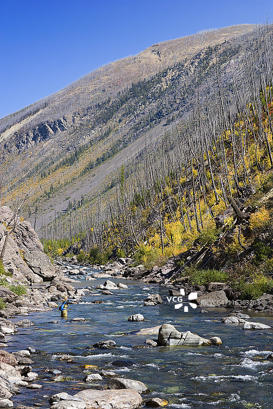 美国蒙大拿州：女子在布莱克富特河北叉河中飞蝇钓图片素材