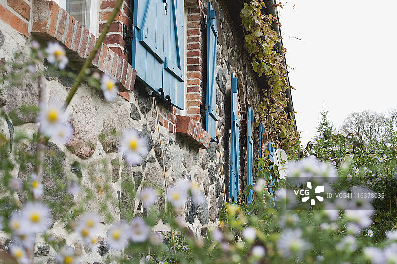 德国克拉策堡：乡村房屋附近的开花植物图片素材