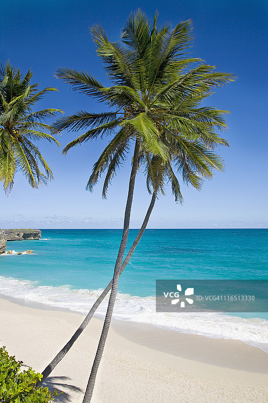 巴巴多斯，博顿湾的僻静热带海滩图片素材