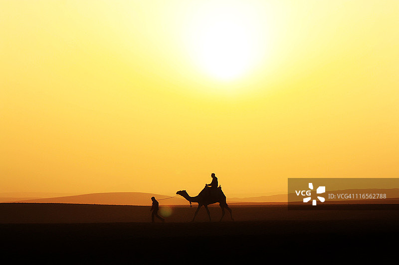 埃及开罗吉萨沙漠骆驼旅行图片素材