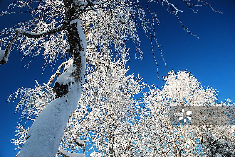 冬季艺术图片素材