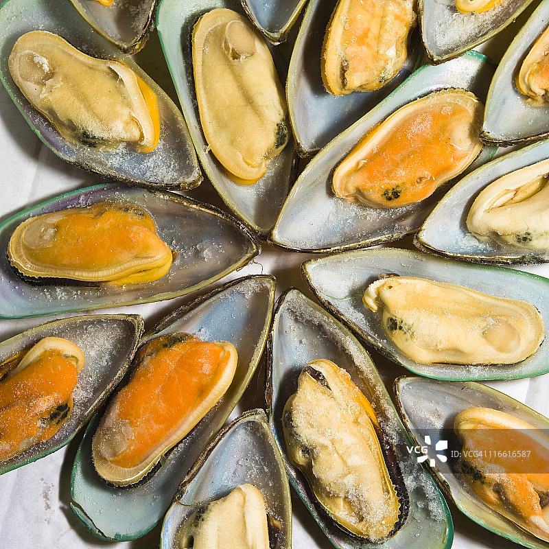 贻贝图片素材