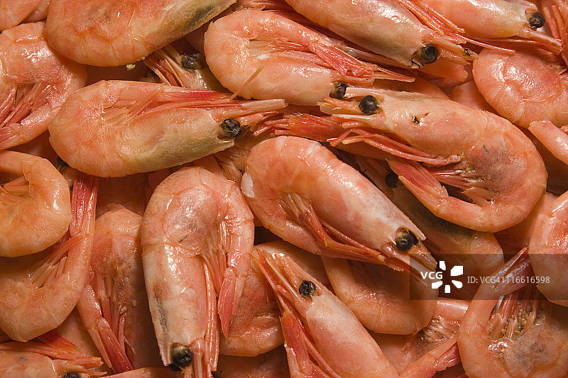 红色虾图片素材