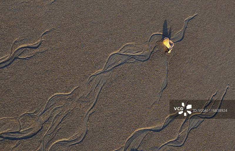 沙滩上的贝壳图片素材