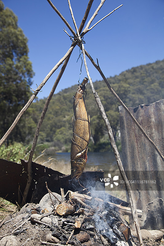 篝火上烤鱼图片素材