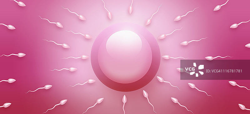 精子游向卵子俯视图图片素材