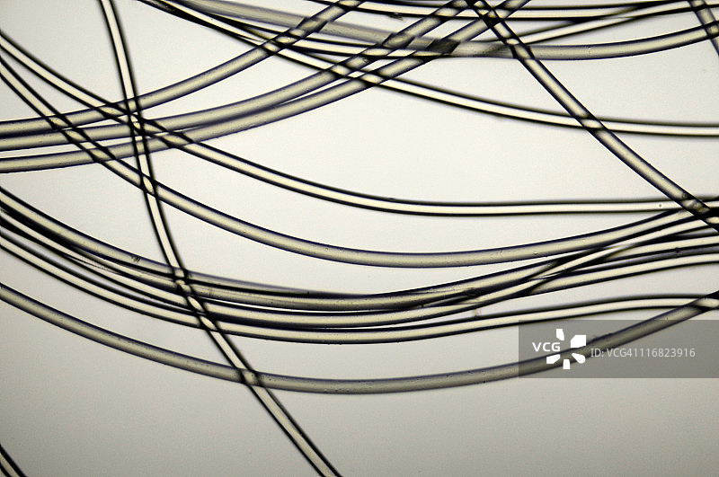 尼龙纤维显微照片图片素材