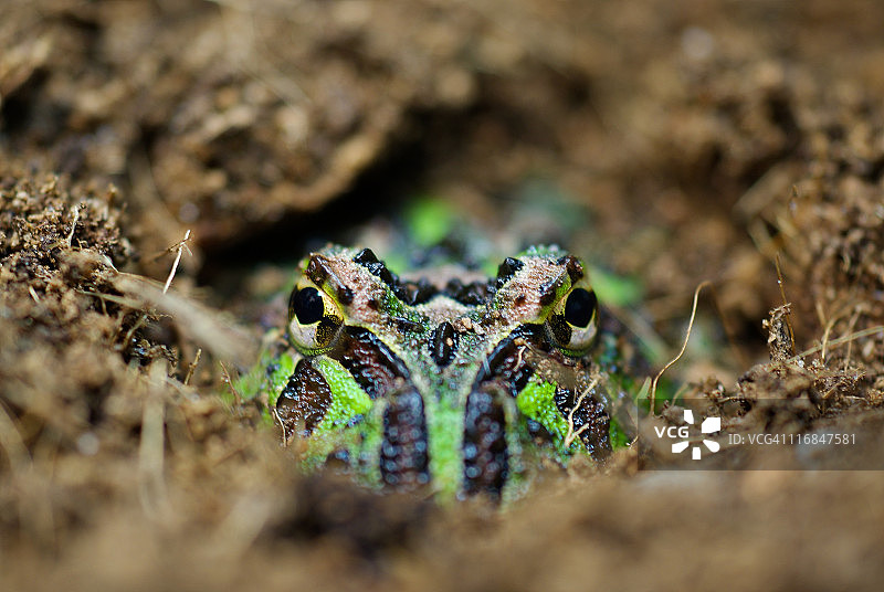 等待中图片素材