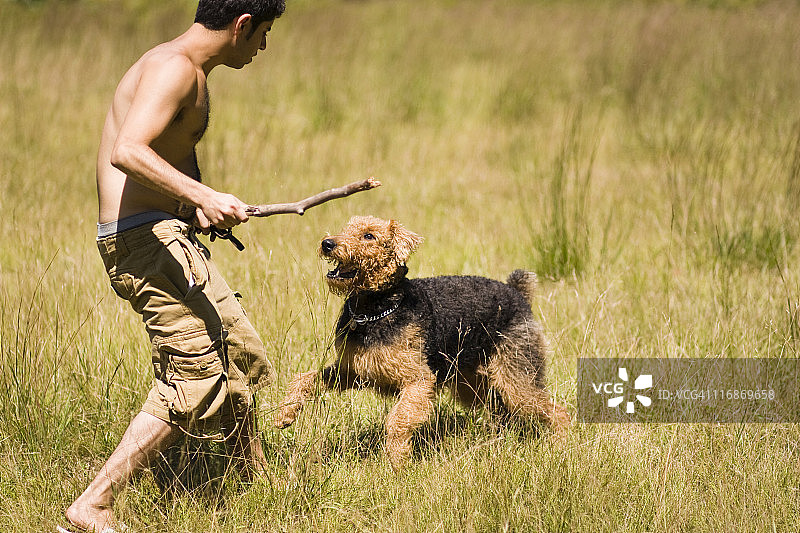 男人和狗玩耍图片素材