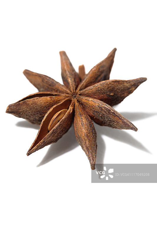 八角茴香图片素材