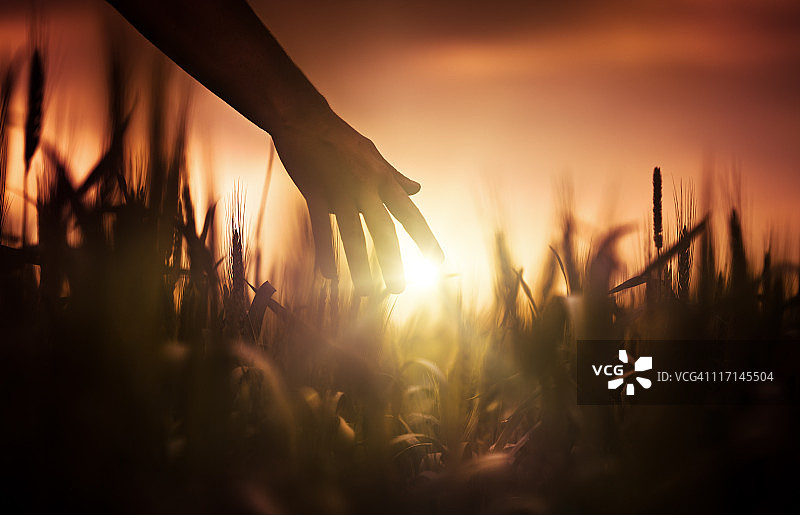 日落下的农民图片素材