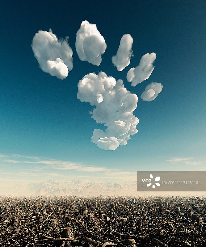 碳足迹：森林砍伐图片素材