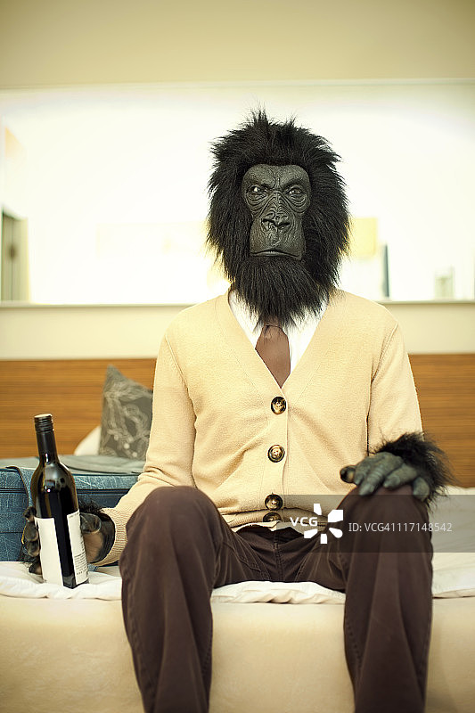 酒店房间里的猩猩商人图片素材