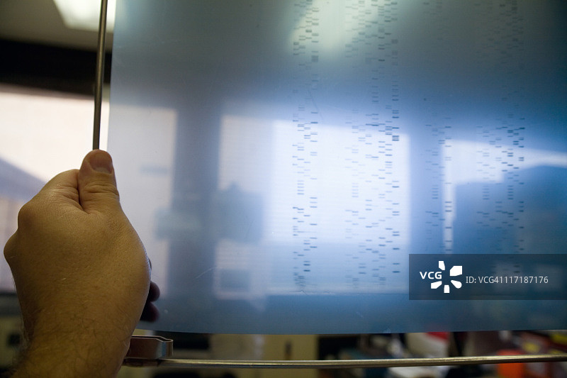 测序凝胶显影图片素材