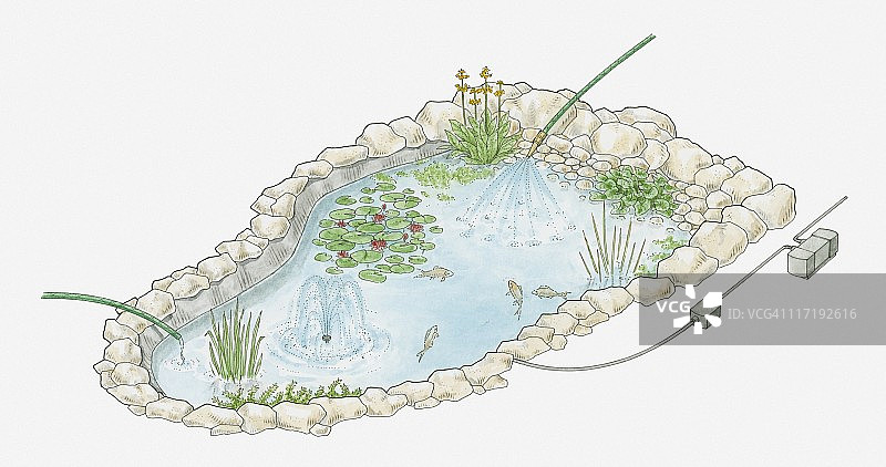 炎热天气下池塘维护方法插画图片素材