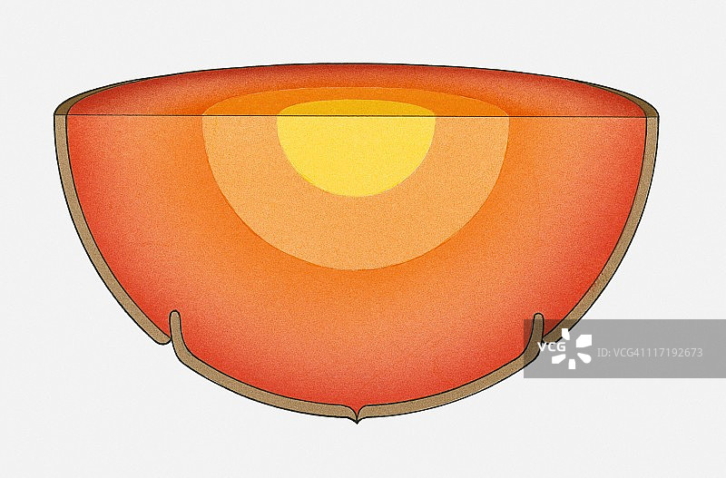 显示地核、地幔和地壳的地球内部结构插画图片素材