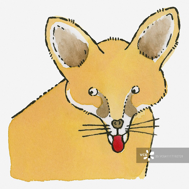耳廓狐吐舌头插画图片素材