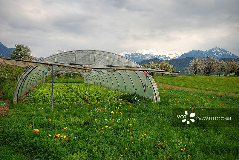 瑞士农业图片素材