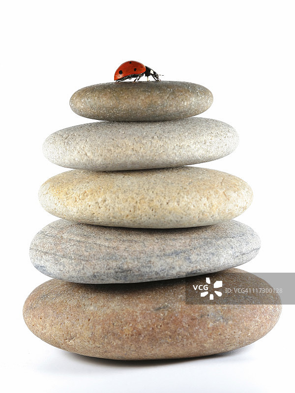 瓢虫和鹅卵石堆图片素材